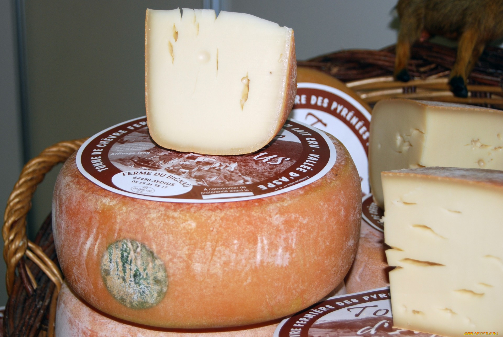 tomme aydius, ,  , 